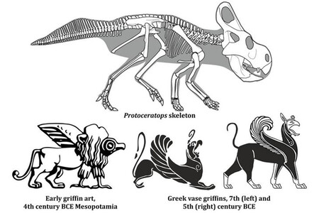 Protoceratop